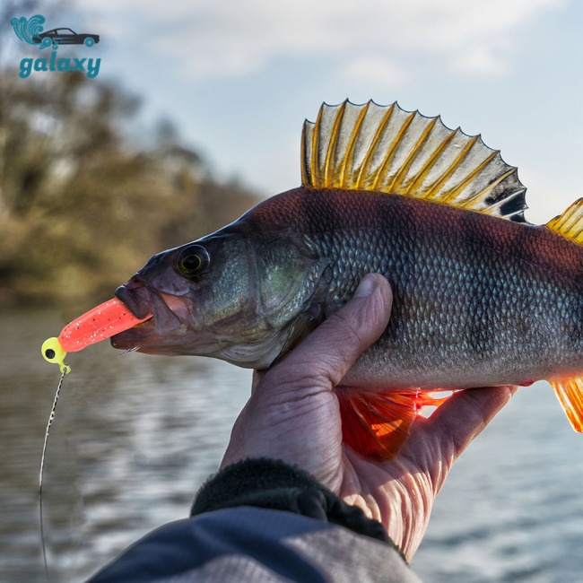 Galaxy Set 40 Mồi Câu Cá 5 Ngăn Trong Suốt Kèm Hộp Đựng