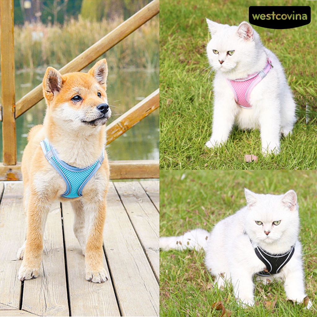 [COD]♞Dây Dắt Thú Cưng Đi Dạo Bằng Nilon Phản Quang Thoáng Khí Tiện Dụng