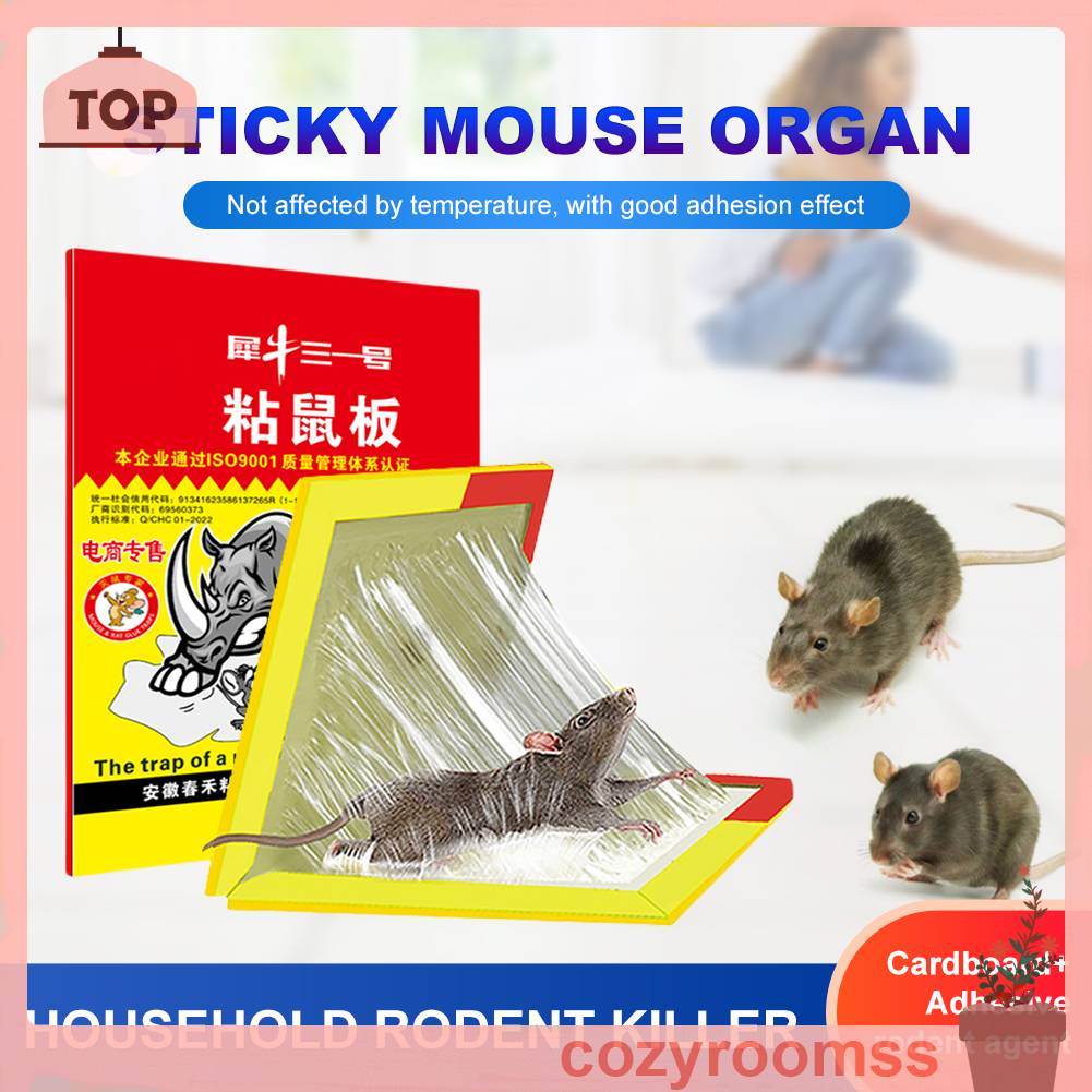 Giấy Dán Hình Chuột Bắt Giấc Mơ Trang Trí Nhà Bếp / Văn Phòng