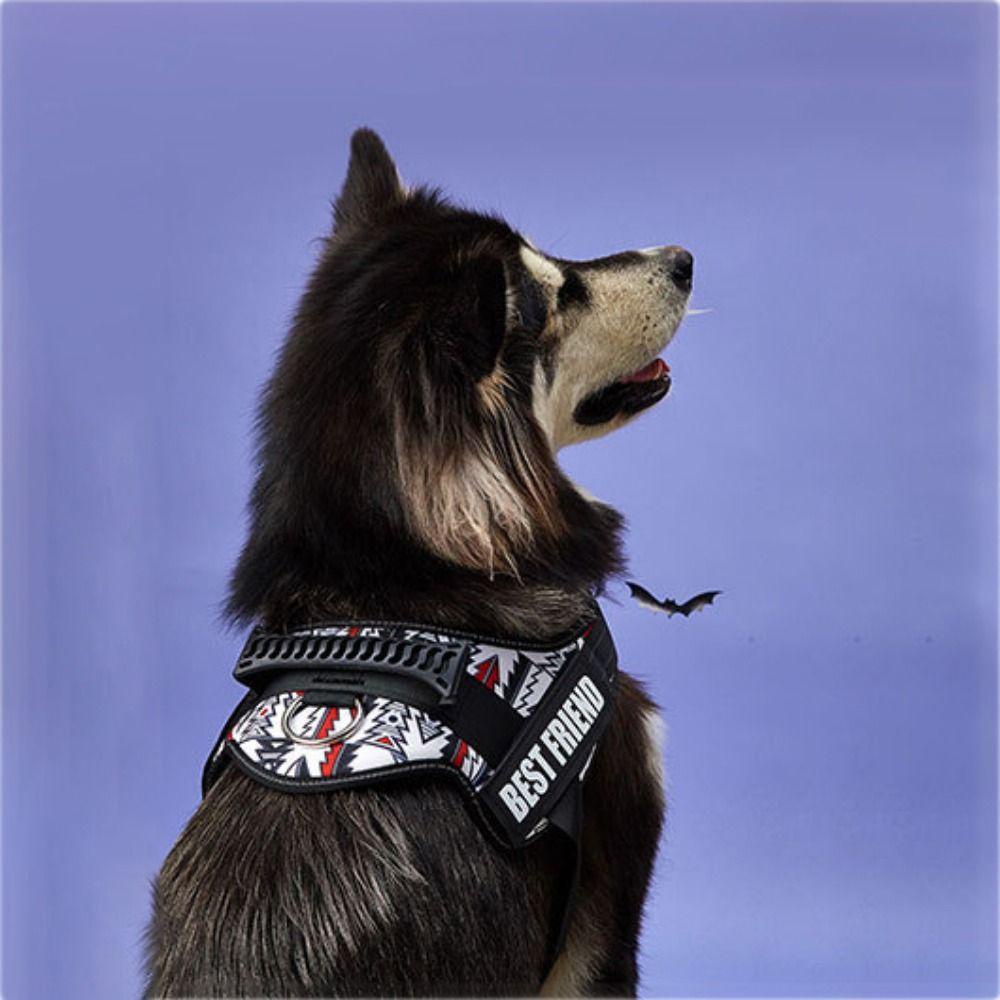 [COD] Dây Dắt Thú Cưng Đi Dạo Thiết Kế Phản Quang Thoáng Khí Tùy Chỉnh Kèm Tay Cầm Tiện Dụng Cho Cún Cưng