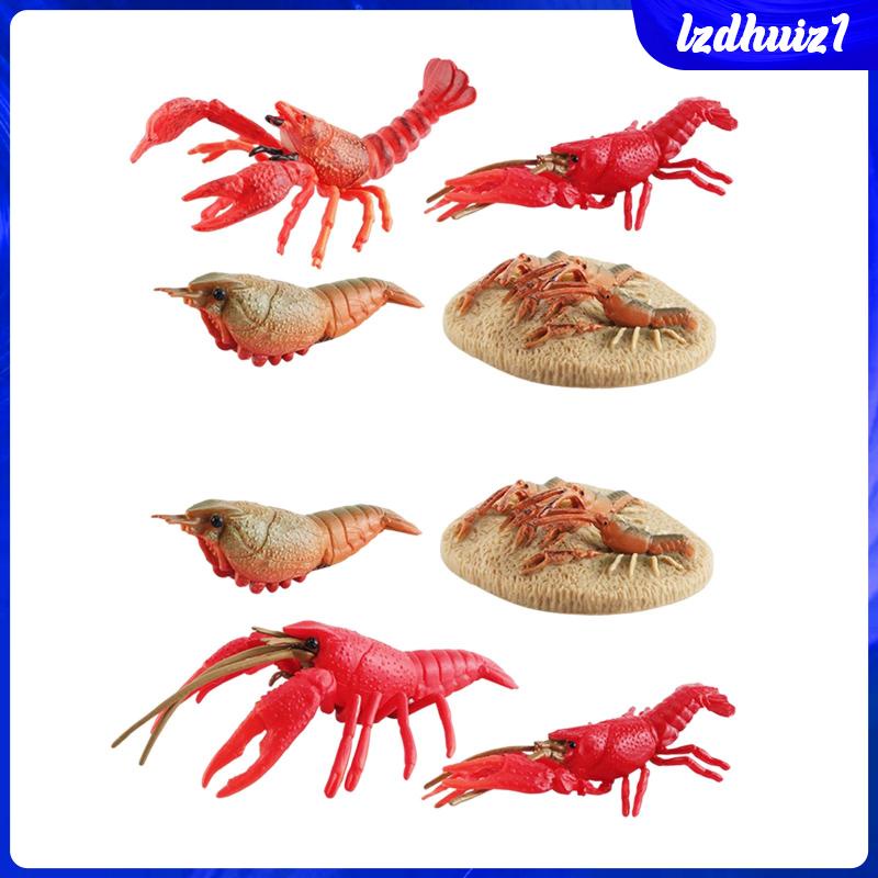 Đồ Chơi Tôm Hùm Biển Cho Bé