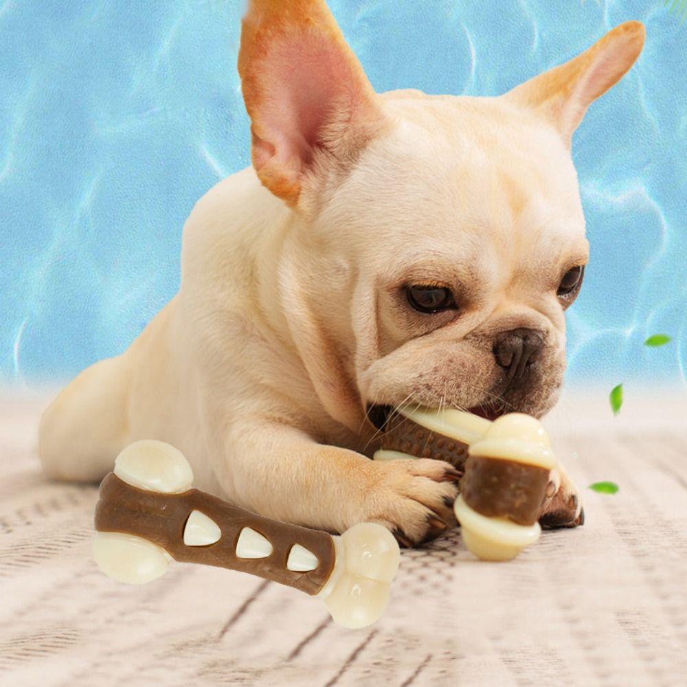GIOVANNI Khúc Xương Đồ Chơi Bằng Nilon Chống Cắn Cho Thú Cưng