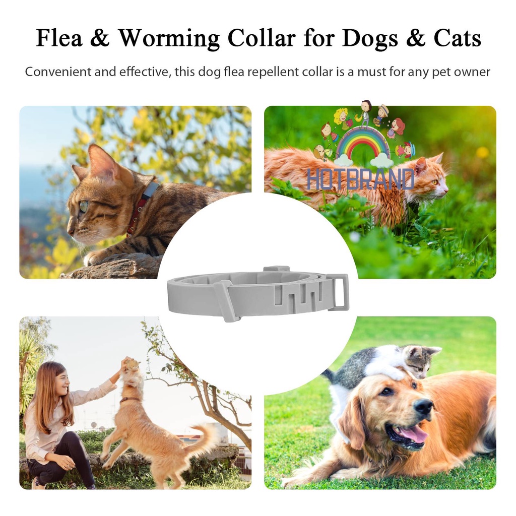 Vòng Cổ BằNg Silicone Cho Thú Cưng