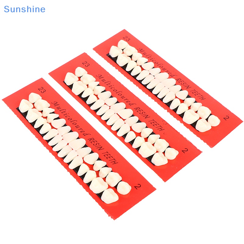 Set 10 Mô Hình Răng Giả Khổ A2 Bằng Nhựa Resin Thông Dụng Hỗ Trợ Dạy Học