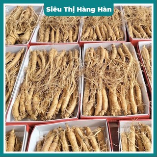 NHÂN SÂM GÀ TƯƠI LOẠI 25_30 CỦ\KG Chuẩn Hàn Quốc _ Hầm Nấu Bồi Bổ Sức Khỏe