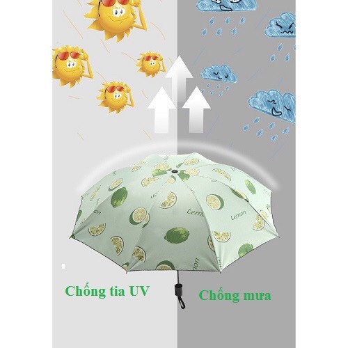 Umbrellas anti-uv umbrellas hình trái cây thời trang gấp ô dù ô