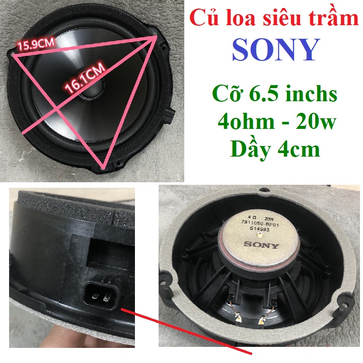 Củ loa siêu trầm các loại