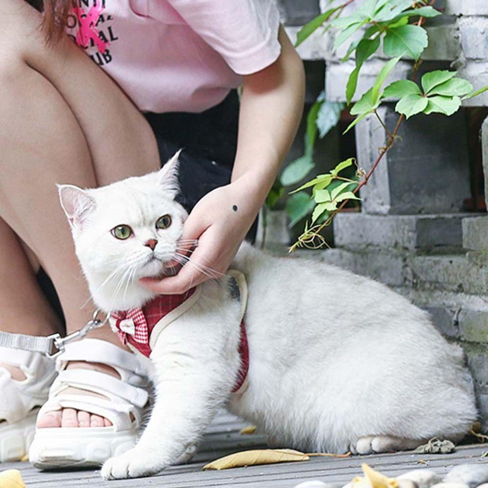 Dây Dắt Thú Cưng Đi Dạo Chống Thất Lạc Đính Nơ Xinh Xắn Tiện Dụng