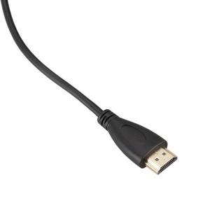 Dây Cáp Chuyển Đổi 10M HDMI Sang Micro HDMI