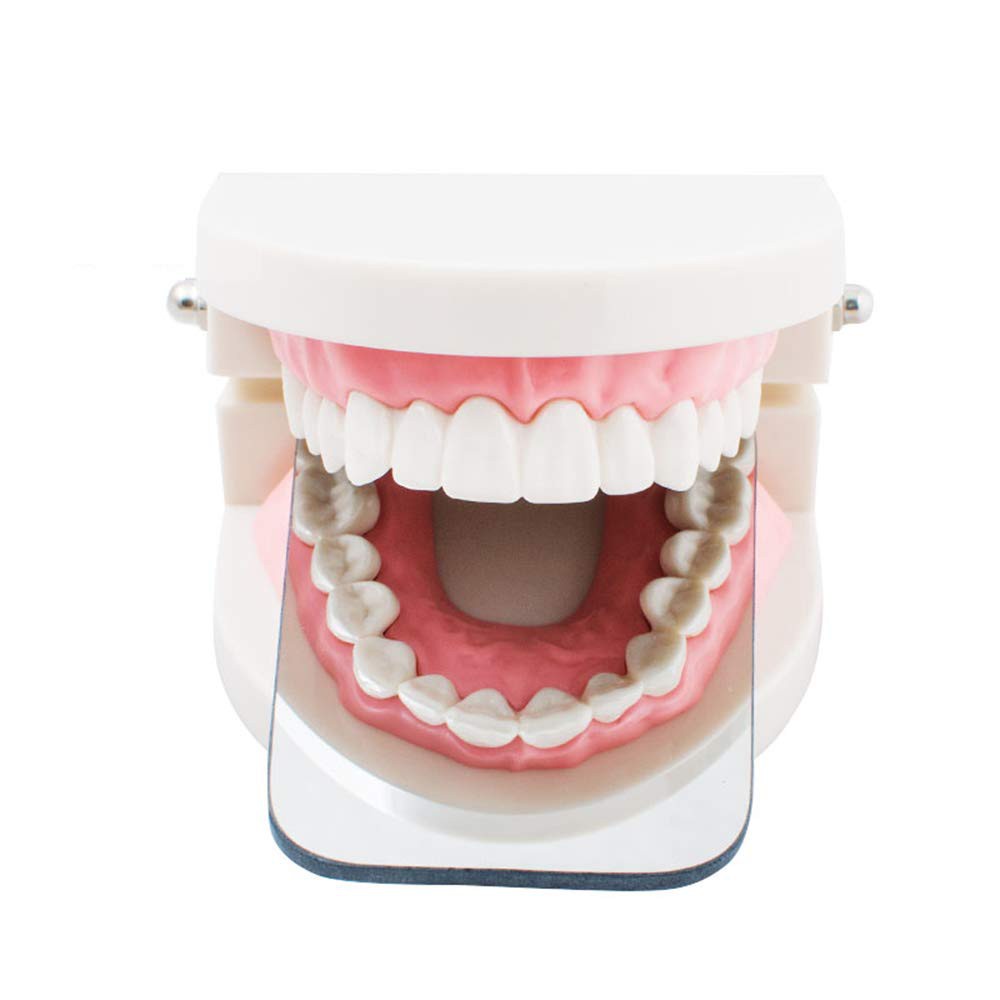 Gương Phản Chiếu 2 Mặt Dùng Trong Nha Khoa