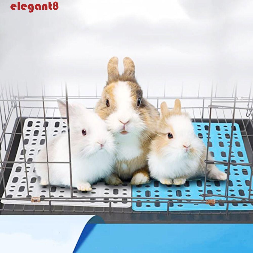 1 Thảm Chùi Chân Thỏ Bằng Nhựa Chống Trượt Nhiều Màu Sắc Có Thể Giặt Sạch
