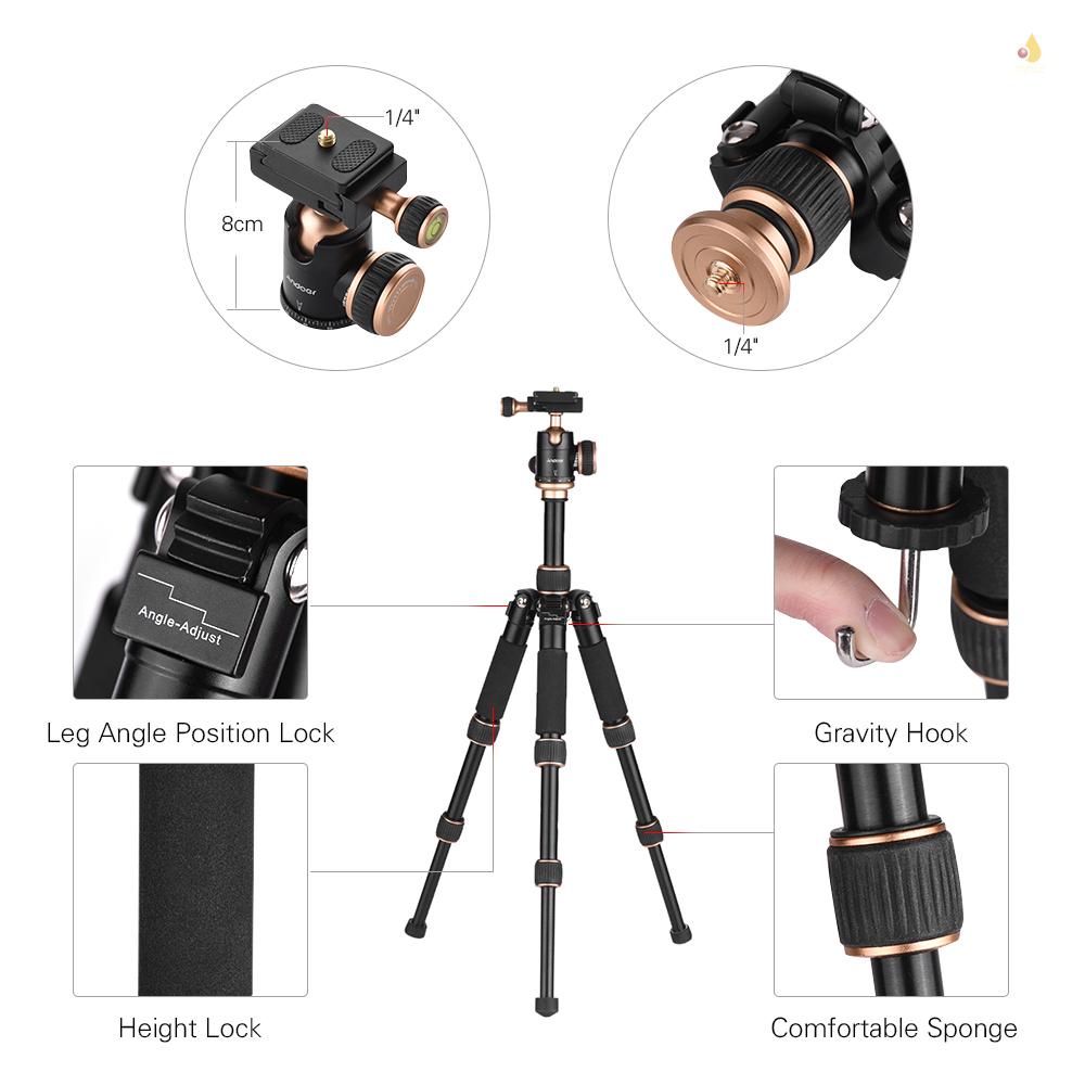 Andoer Giá Đỡ Ba Chân Mini 53cm / 21in Tháo Lắp Nhanh Đầu Bi Cho Máy Ảnh DSLR / Điện Thoại Thông Minh / DV