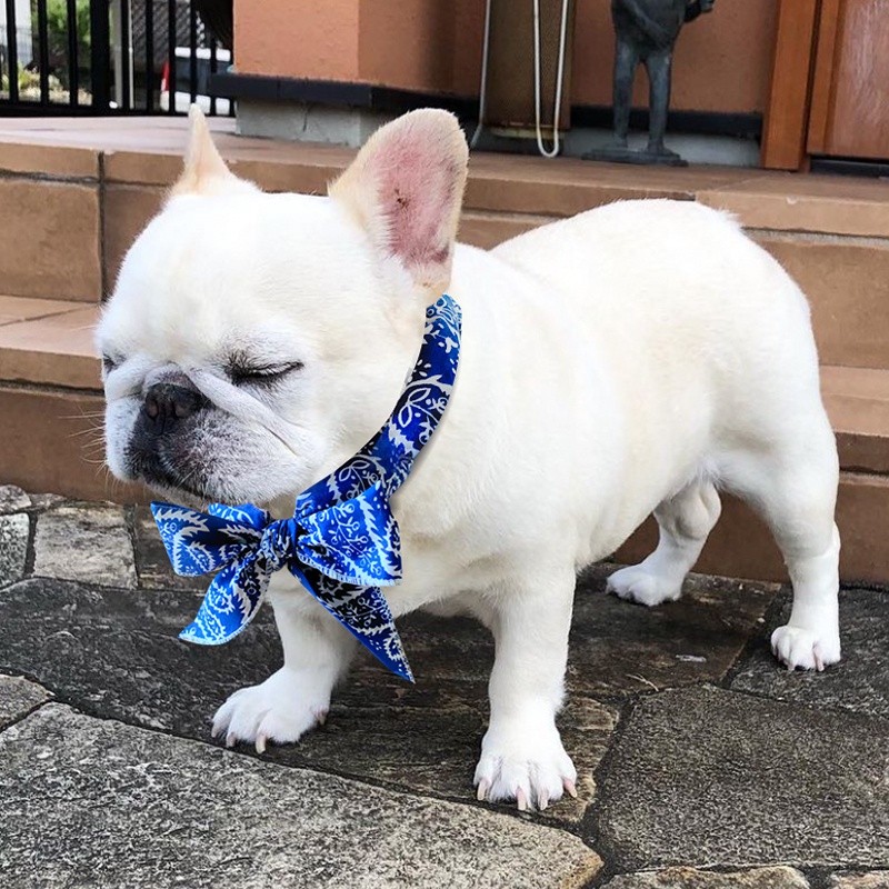 Quần áo thú cưng Giải nhiệt mùa hè cho thú cưng băng khăn chó Pug chống nóng ra tiếp liệu Corgi Shiba Inu Bông mát cổ cổ