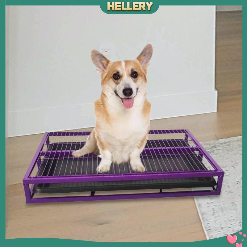 Hộp Đi Vệ Sinh Chống Văng Cho Thú Cưng