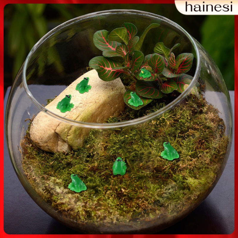 Set 20 Tượng Ếch Mini Trang Trí Đáng Yêu