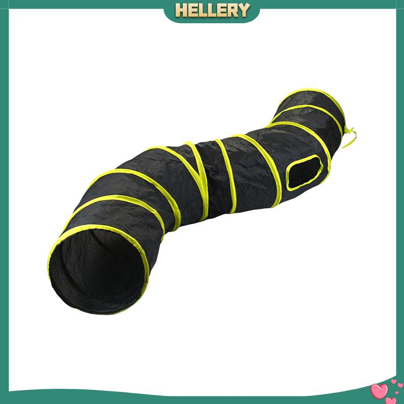 Đồ Chơi Đường Hầm Gấp Gọn Vui Nhộn Cho Mèo Cưng