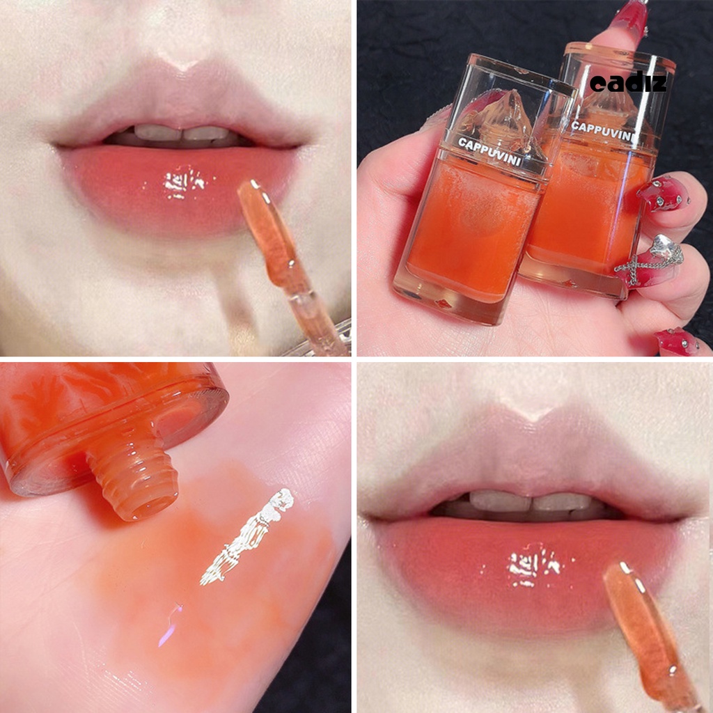 Dầu Dưỡng Môi Chiết Xuất Tự Nhiên 4.5g Chống Dính Độ Bóng Cao