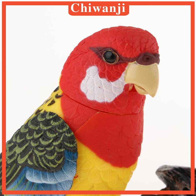 [Chiwanji] Bộ Phận Hát Bằng Giọng Nói Phát Ra Tiếng Kêu Khi Hát Chim Vẹt Với Âm Thanh Thật Và Chuyển Động