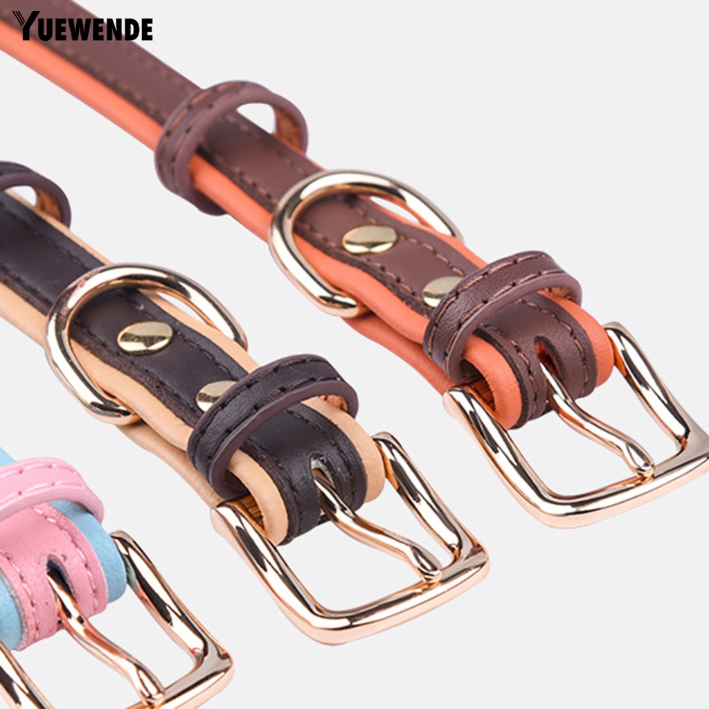 Vòng Cổ Chống Thất Lạc Màu Sắc Tương Phản Tùy Chỉnh Kích Thước Cho Thú Cưng