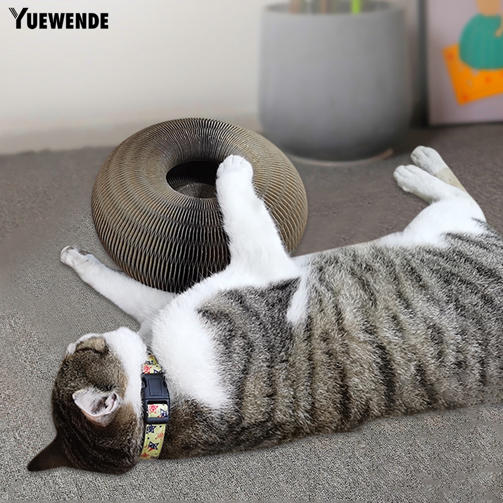 1 Bộ Khung Dây Leo Trèo Chống Mòn Giảm Căng Thẳng Cho Mèo