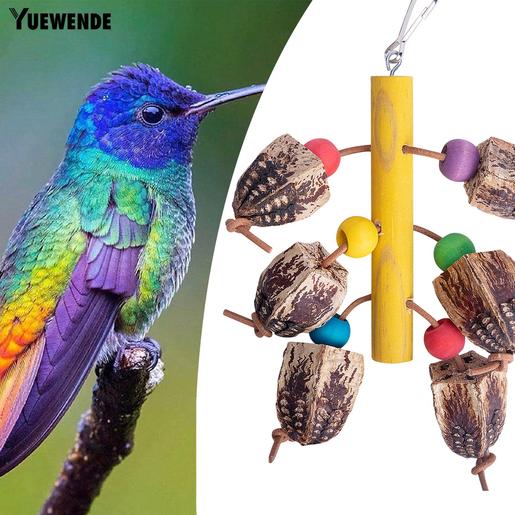 Đồ Chơi Treo Mài Răng Chống Cắn Cho Chim Vẹt Cỡ Vừa Và Vừa
