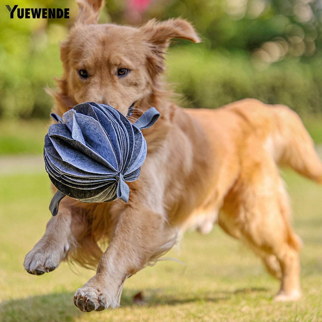 Bóng Đồ Chơi Chống Cắn Linh Hoạt Huấn Luyện Thú Cưng Trong Nhà