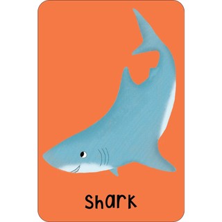 Sách Sea Snap! (Cards)