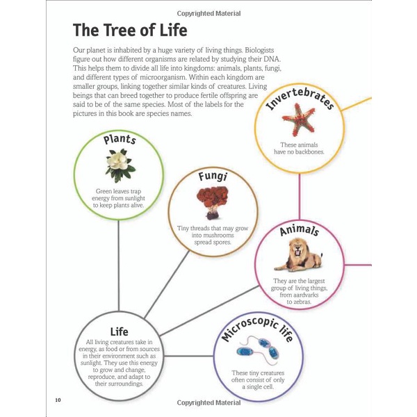 Sách The Animal Book