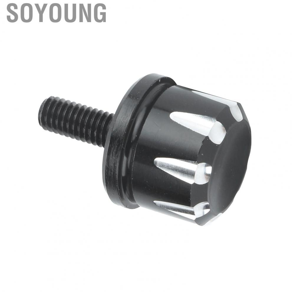 Soyoung Motorcycle Seat Mount Bolts Screw with 1/4in-20 Thread Fit for Iron 883/Forty Eight/Roadster