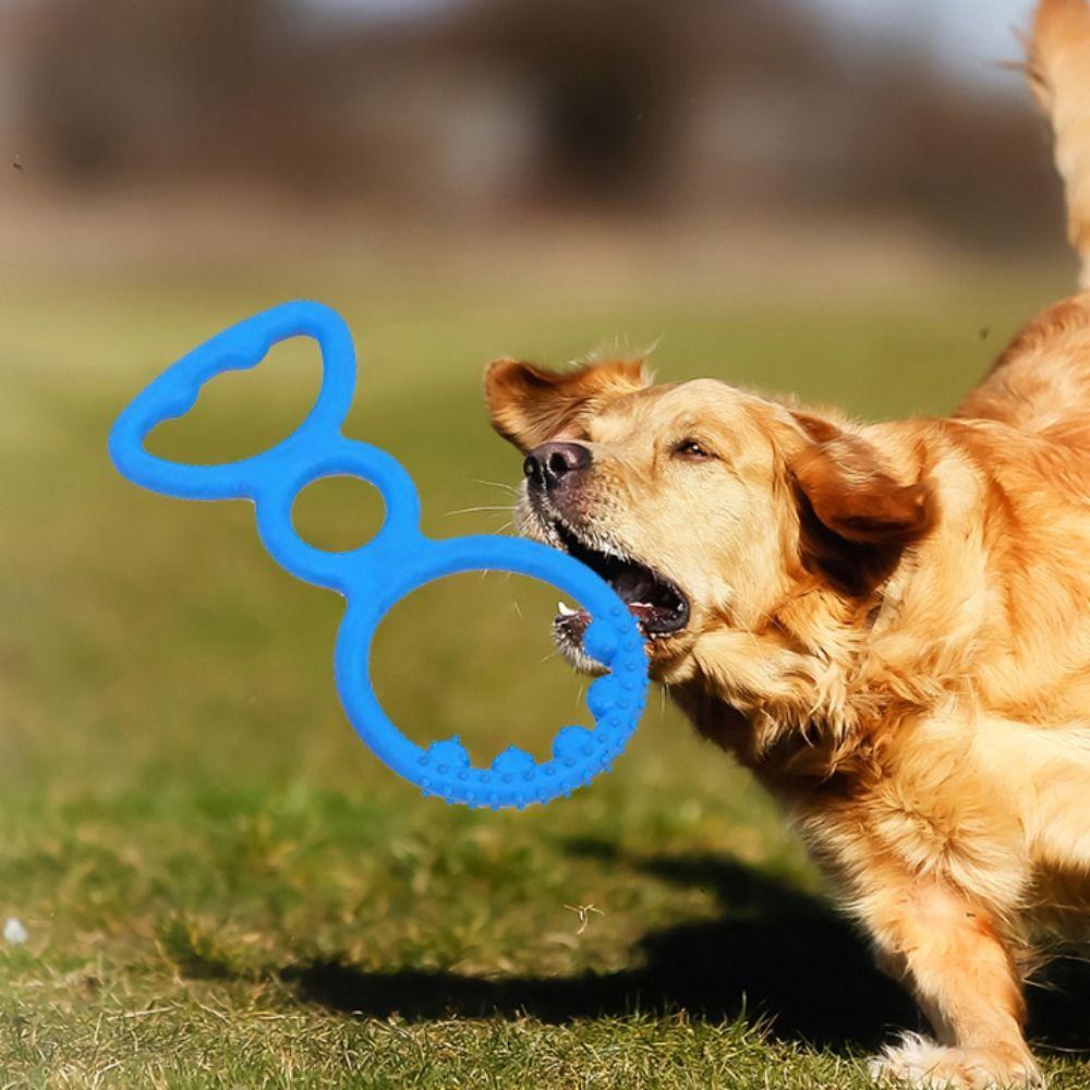 Vòng Huấn Luyện Chó TPR Màu Sắc Ngẫu Nhiên Chống Cắn Đa Năng