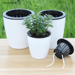 Chậu hoa mọng nước hấp thụ nước tự động Chậu Hoa thủy canh chậu hoa thịt mới