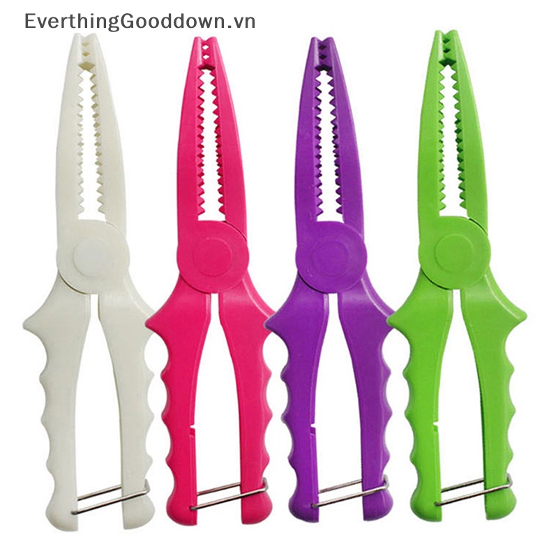 Everthinggooddown 1 Kẹp Cá Bằng Nhựa Khóa Kẹp Cá Với Khóa Kim Loại Đa Năng vn
