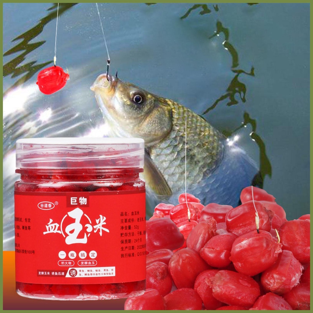 Mồi Câu Cá Chép Chép Mùi Ngô Tự Nhiên chất dẫn dụ cá, Có Mùi Thơm Cho Herring Trout Snakehead Tilapia