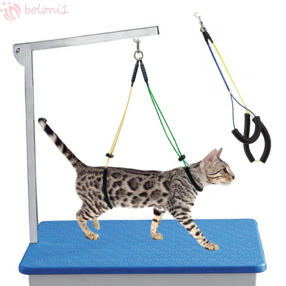 [COD] Giá Đỡ Huấn Luyện Chó Mèo Thiết Kế Có Thể Điều Chỉnh Tiện Dụng