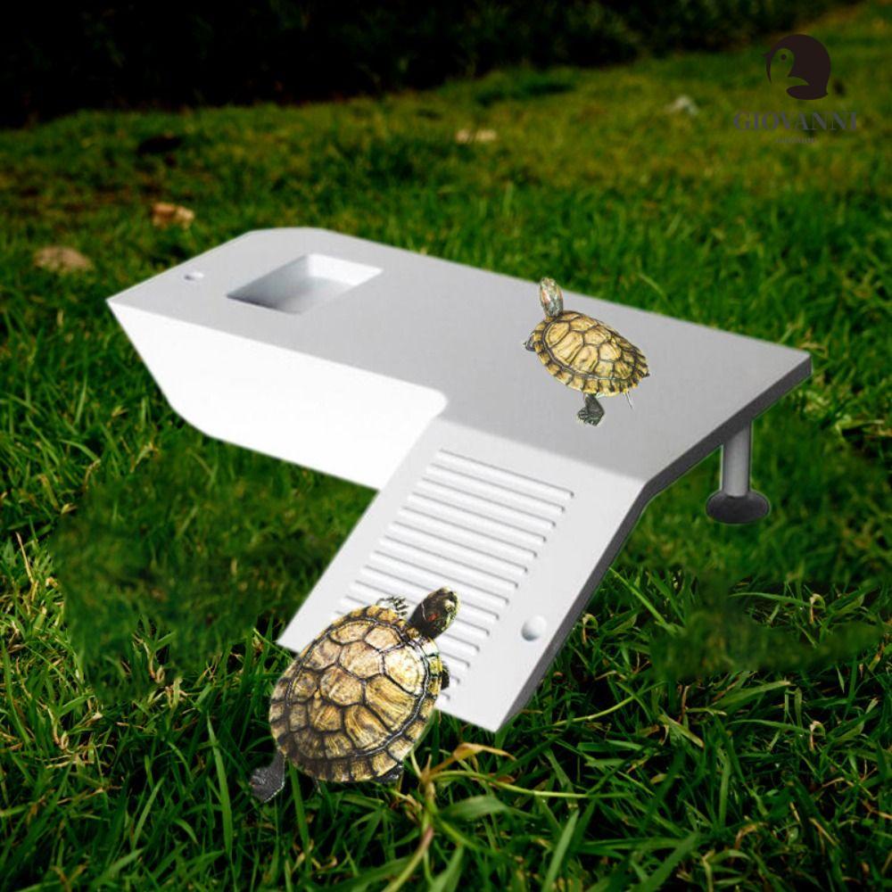 Bệ Leo Trèo Bằng Nhựa Bền Có Giác Hút Cho Rùa