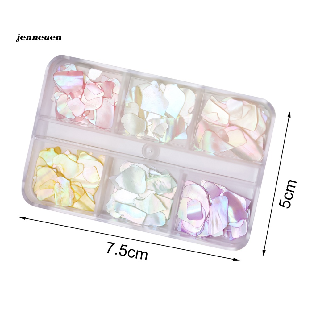 1 Hộp Vỏ Sò Tự Nhiên Trang Trí Móng Tay DIY Charms