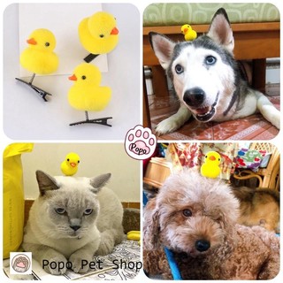 🐥 Kẹp Gà con , Vịt con cute cho chó mèo thú cưng