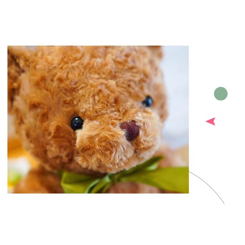 20 / 30cm, soft plush, teddy bear head story fills advanced momo