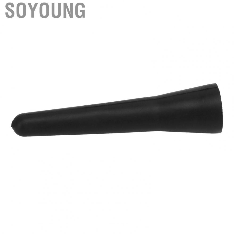 Soyoung Roof Mount Short  Size for Car