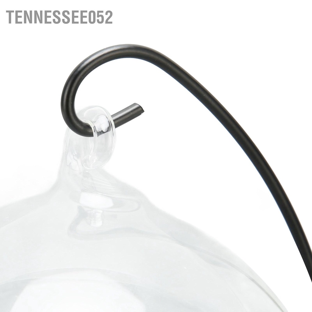 Tennessee052 Treo Bể Cá Thủy Tinh Để Bàn Trong Suốt Bát Có Chân Đế Trang Trí Văn Phòng Nhà Cửa