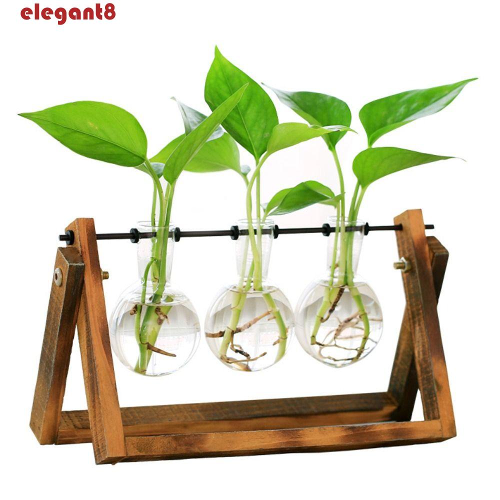 Lọ Hoa Thủy Canh Trong Suốt Hình Quả Dứa Phong Cách Châu Âu Tinh Tế Dễ Sử Dụng