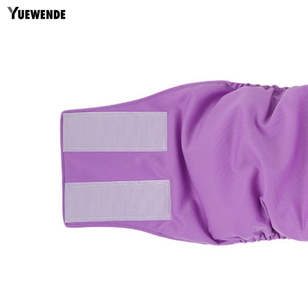 Quần Lót Sinh Lý Chống Tràn Không Phai Màu Cho Thú Cưng