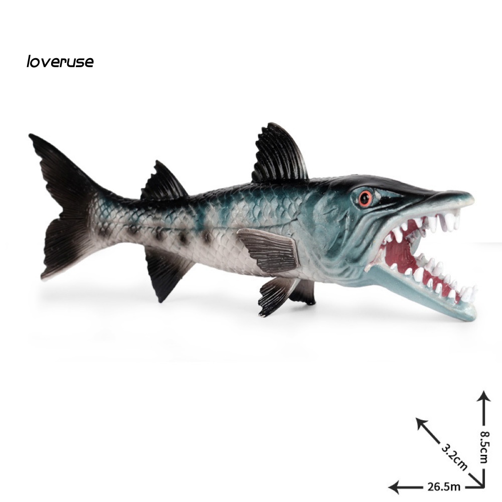 Mô Hình Động Vật Biển Răng Sắc Bén Độc Đáo Trang Trí Nhà Cửa