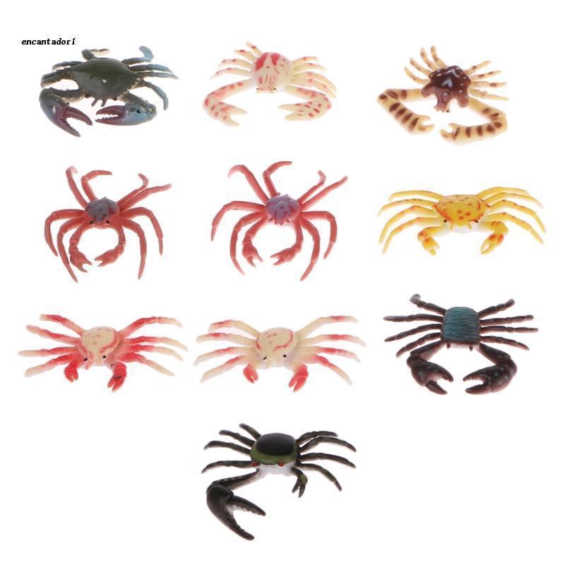 ✿ Mô Hình Đồ Chơi Chú Cua Biển Sống Động Dành Cho Trẻ