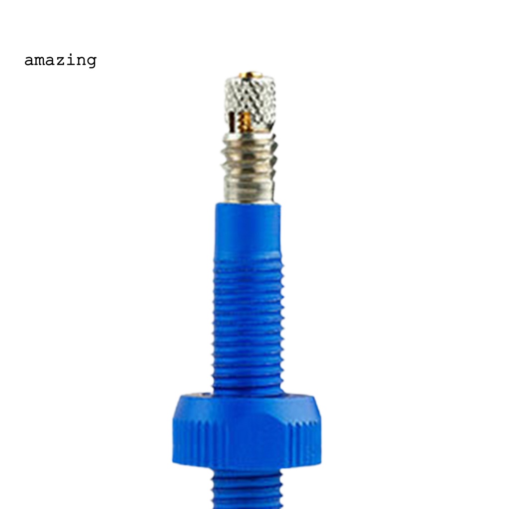 Van Bánh Xe Đạp Chống Bụi Có Thể Tháo Rời Mờ / Matte