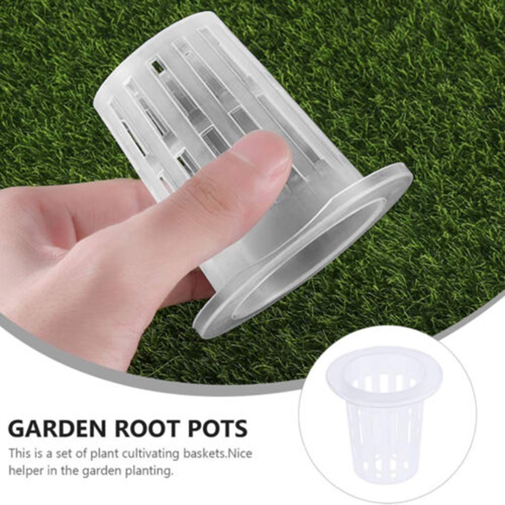 Bộ 50 Chậu Lưới Trồng Cây Thủy Canh Bằng Ion Âm Dqbelzh Civelzls WReZkmdR ZdbTwOM