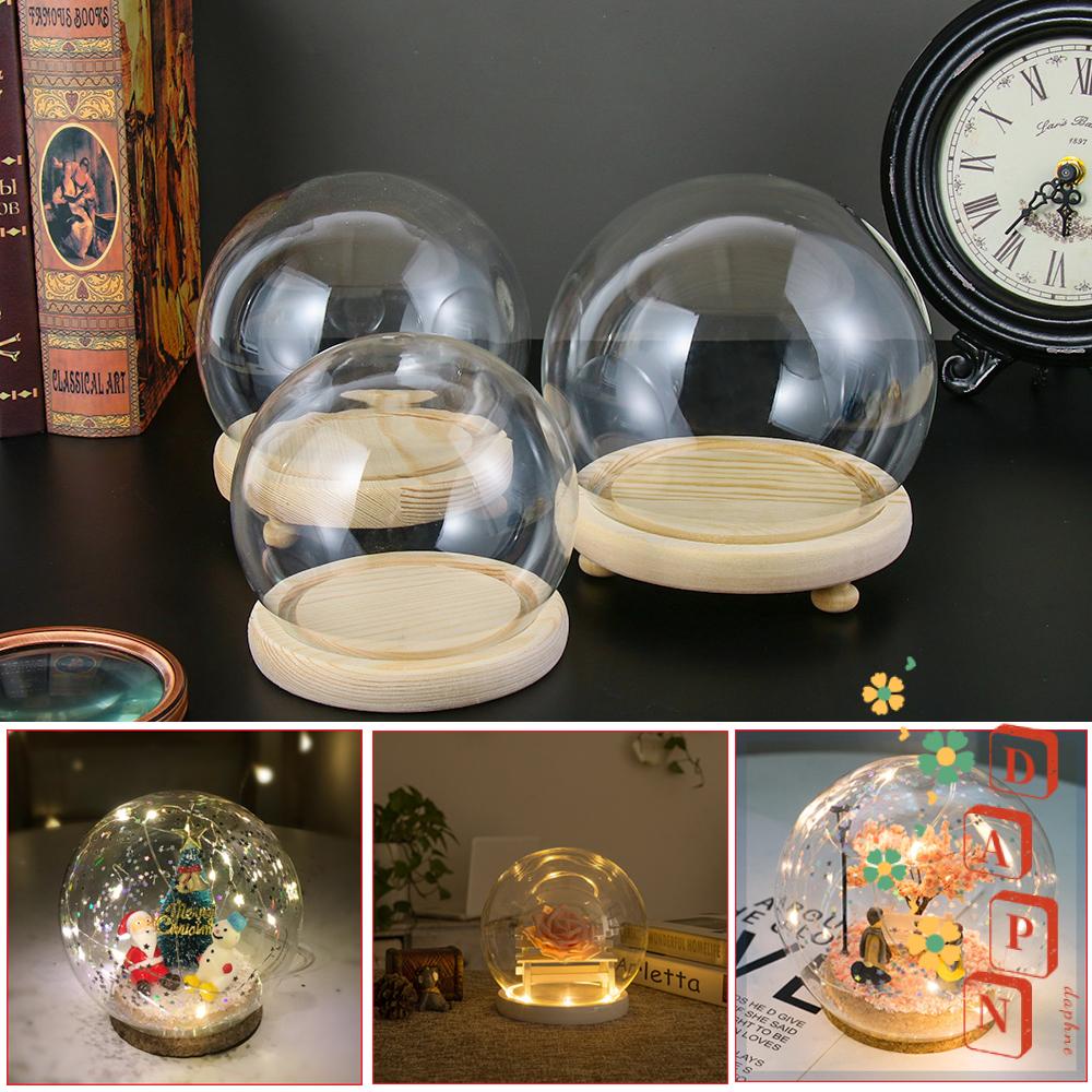 Bình Hoa Thủy Tinh Trong Suốt Hình Cầu Dùng Trang Trí Nhà Cửa