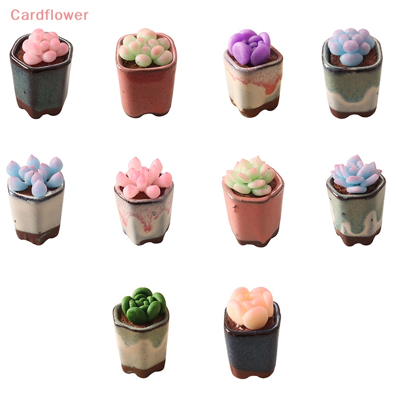 Mô Hình Chậu Cây Mọng Nước Trang Trí Nhà Búp Bê 1: 6 Mới