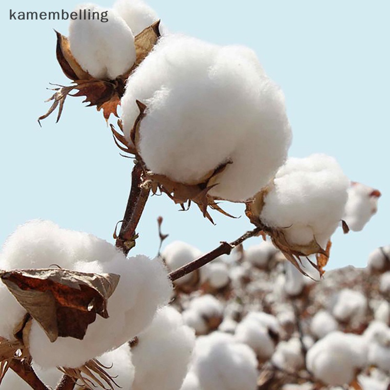 Set 100 Cuộn Vải Cotton Mềm Mại Thấm Hút Tốt