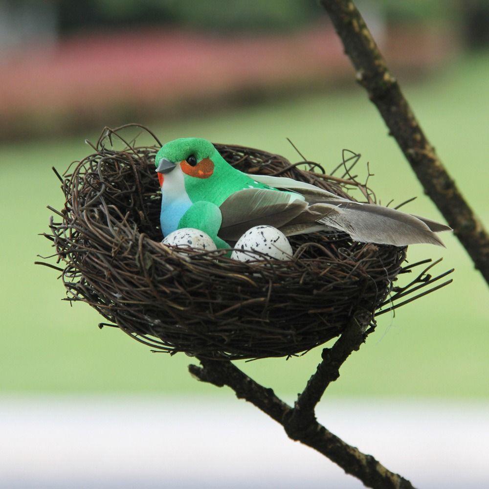 Giovanni Trứng Chim Giả Tự Làm Thủ Công Sáng Tạo